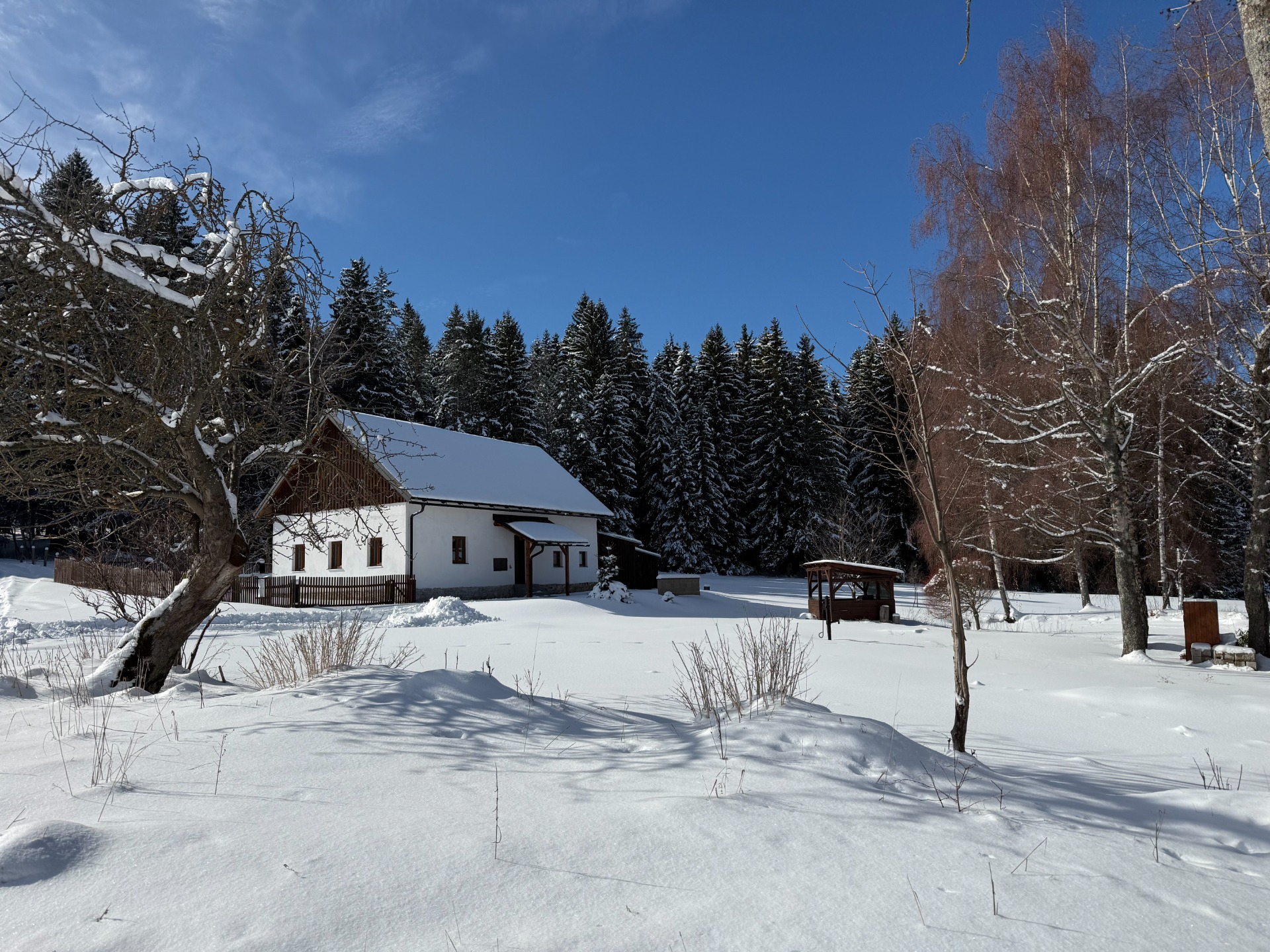 Zimní Sibřinka
